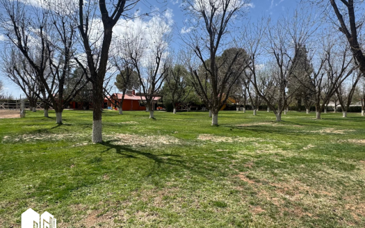 GRANJA NOGALERA EN VENTA