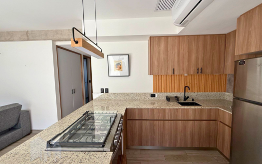 DEPARTAMENTO AMUEBLADO EN RENTA